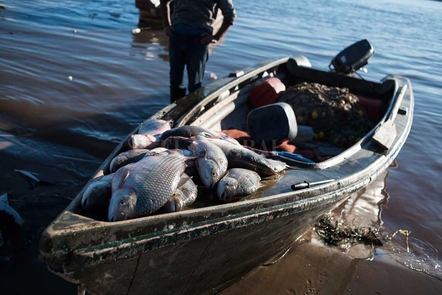 Audiencia conciliatoria de la pesca entre el Paraná No se Toca, la APDL y el gobierno de Santa Fe