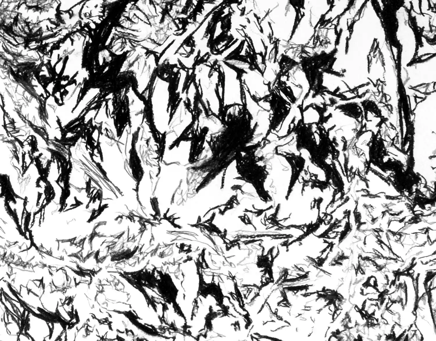 “La otra orilla” dibujará sus trazos en el Centro Experimental del Color
