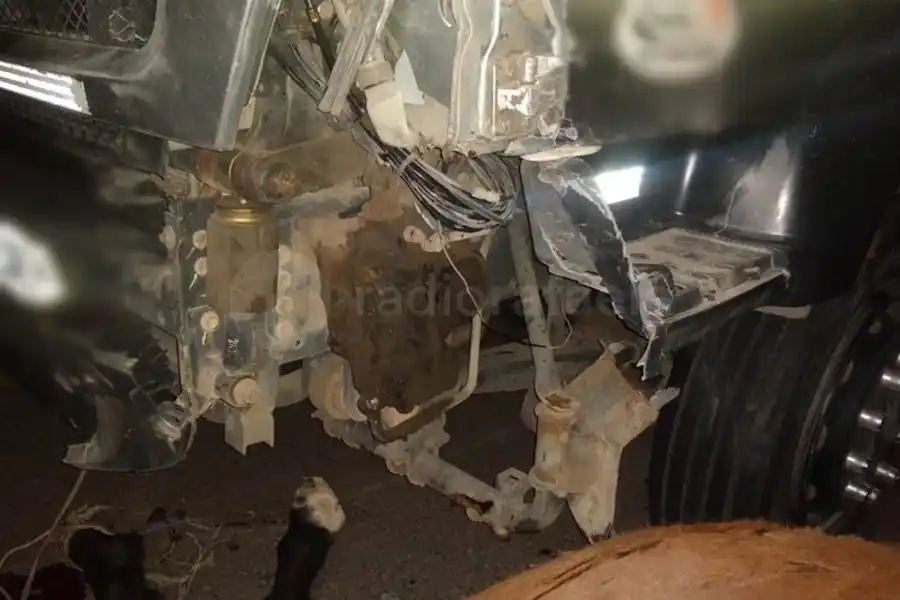 Un camionero impactó contra un caballo en Autovía 19: el animal murió tras el choque