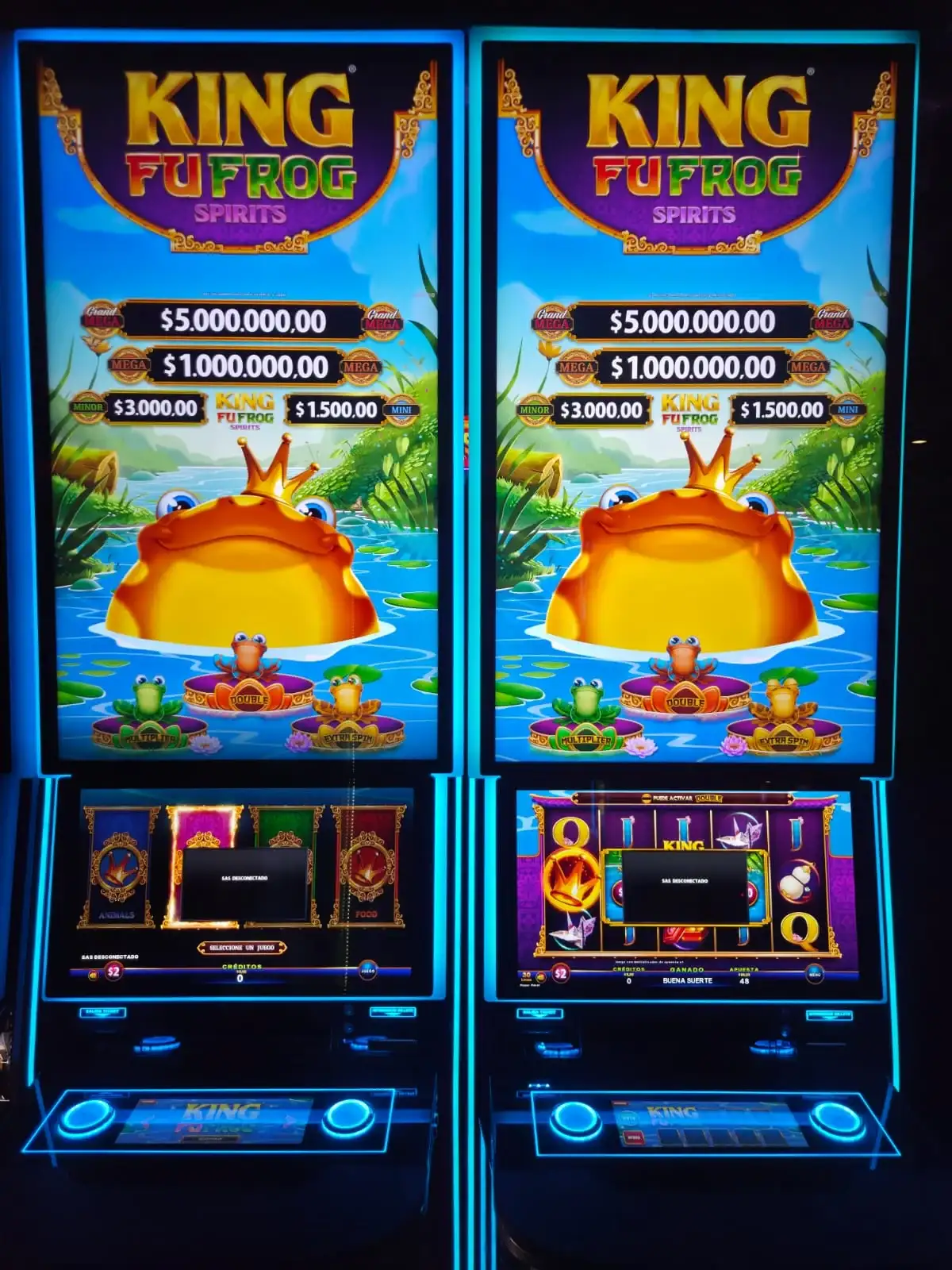 BINGO - 5