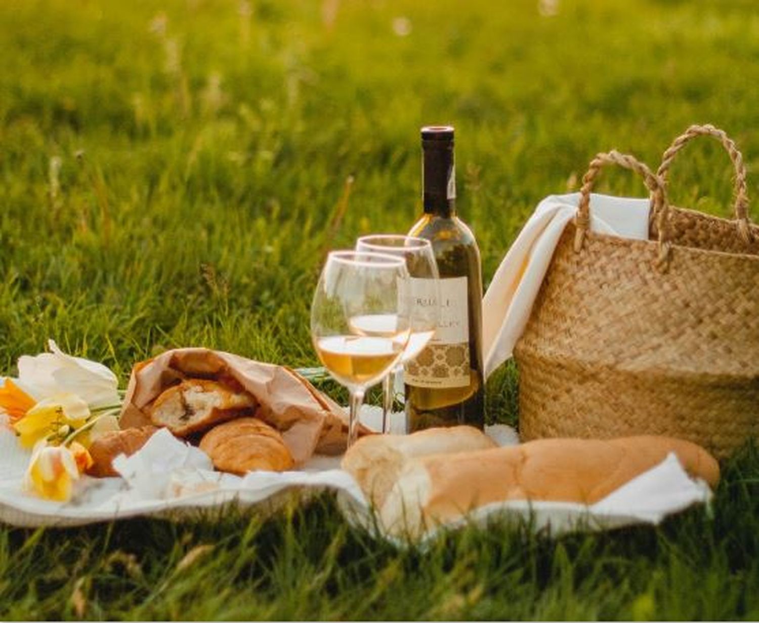 Sabores, vinos y naturaleza: la guía definitiva para un picnic inolvidable