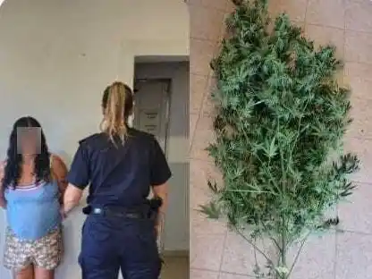 El elemento secuestrado quedó a resguardo en el Depósito Judicial de la dependencia, a la espera de las pericias correspondientes.