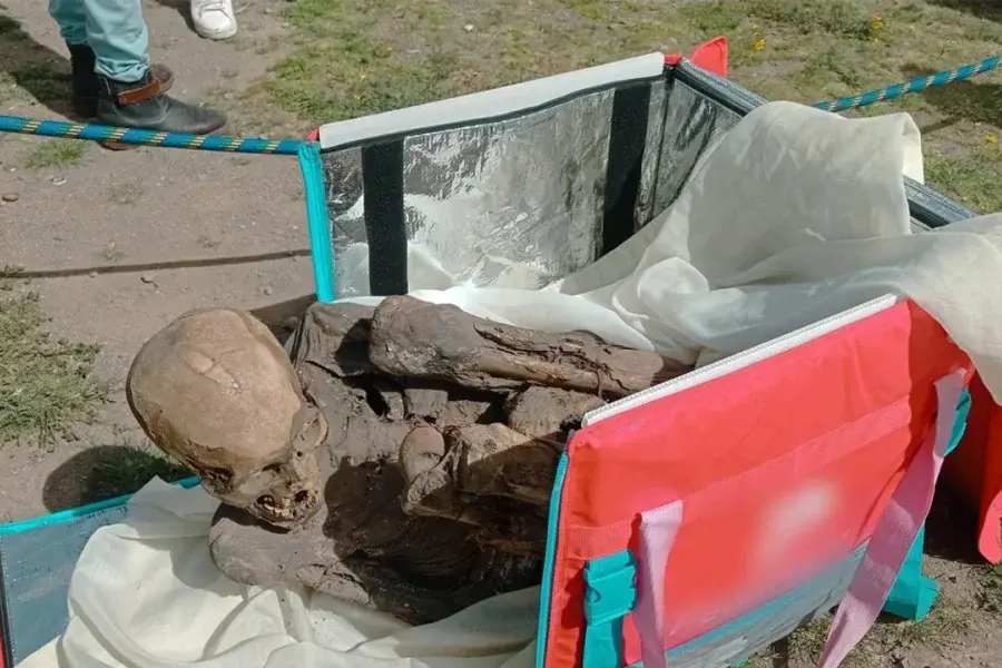 Encontraron una momia de 800 años en la mochila de un repartidor de comida