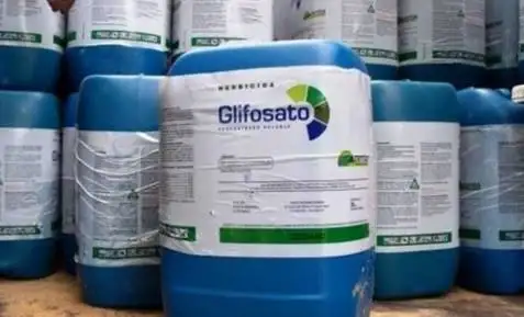 Glifosato cero: El Municipio convocó a los ambientalistas a analizar la decisión judicial