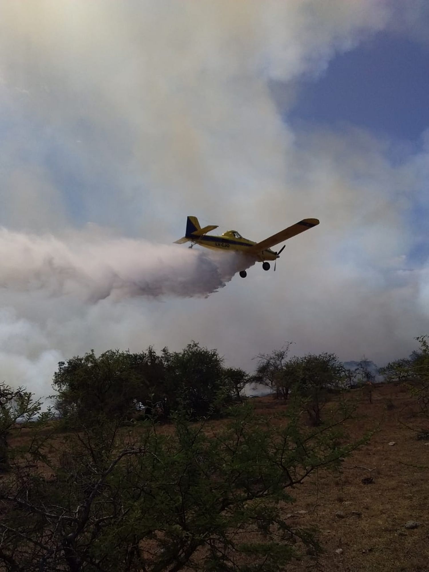 unidad forestal 3