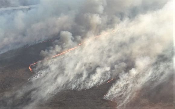 Incendios en islas: en la última semana registraron más de 1400 focos y el acumulado ya supera a los años 2020 y 2021