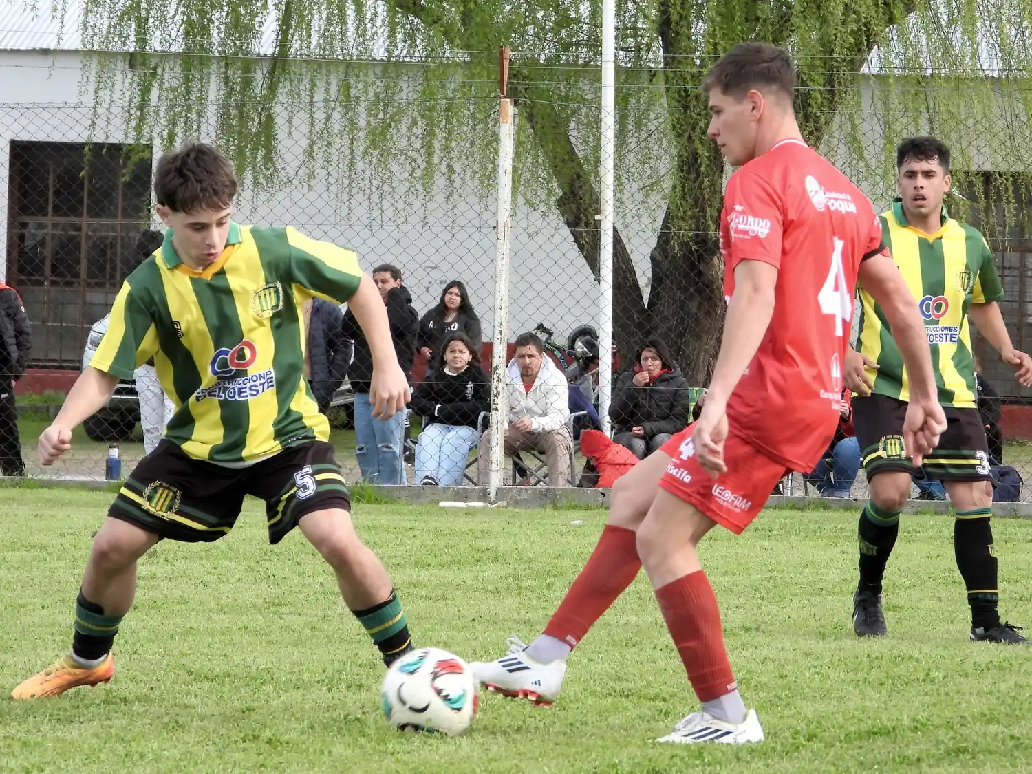 Foto: archivo Silvina González.