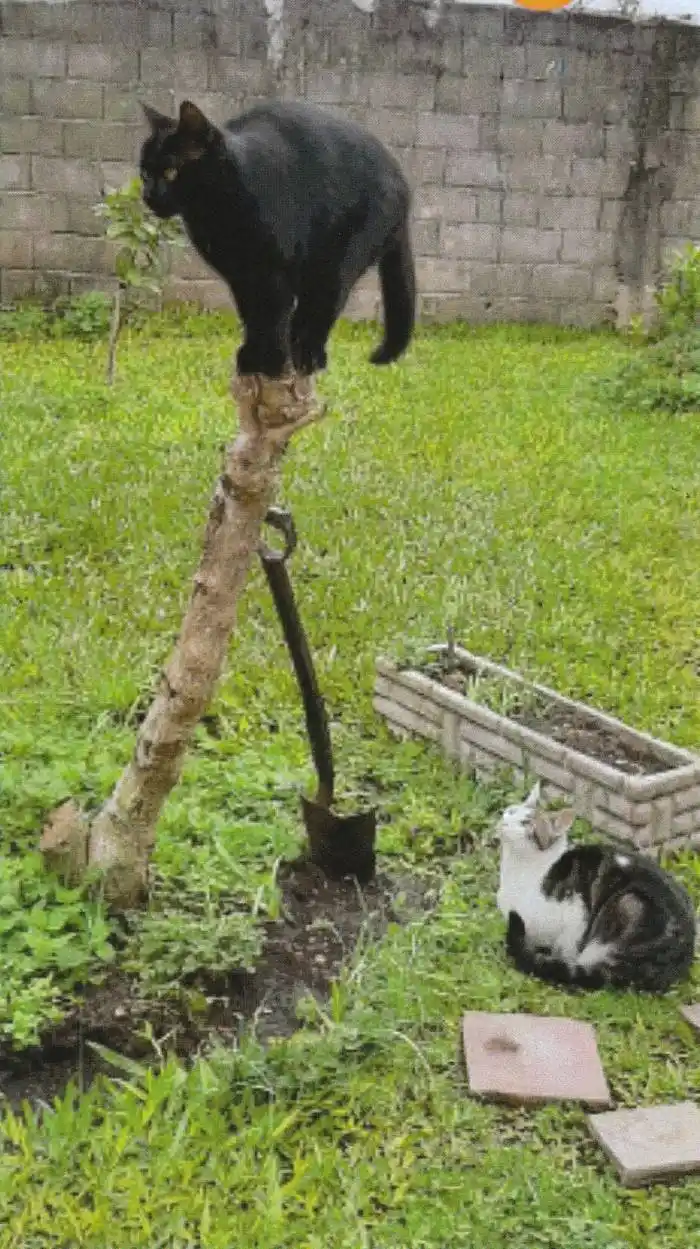 Lo que se ve en la ciudad