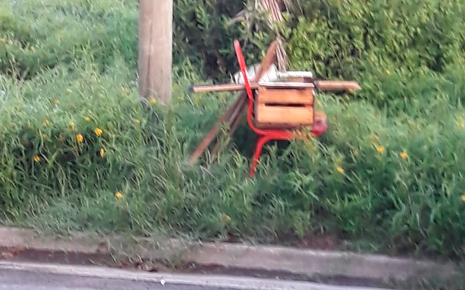 Reclamo: “Vecino, Ashira no levanta basura de terrenos baldíos”