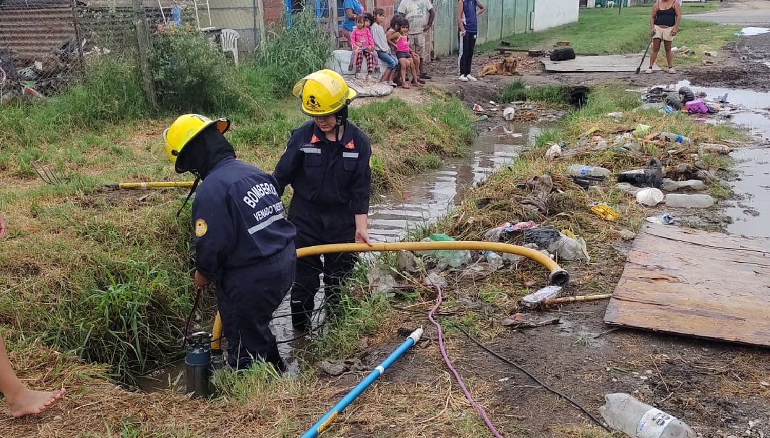 rescate cachorros2