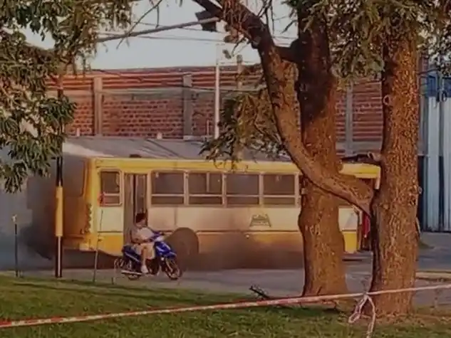 "Así van a trabajar"