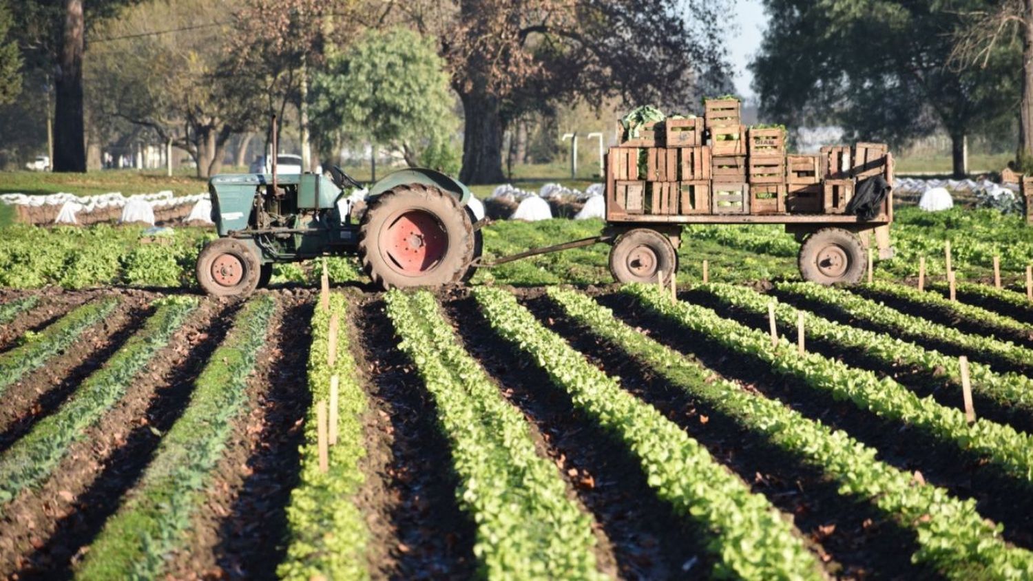 La provincia acompaña a productores frutihortícolas afectados por la sequía