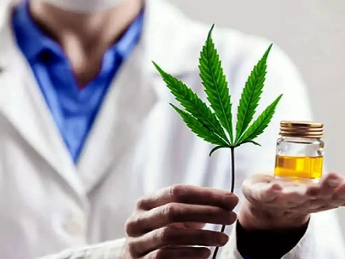 Dr. Carlos Laje: “El cannabis es un complemento de la medicina convencional”   