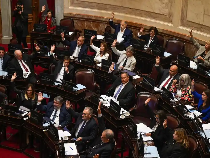 El pleno del Senado durante la última sesión realizada y en la que se dinamitó la ley de ficha Limpia, en mayo pasado