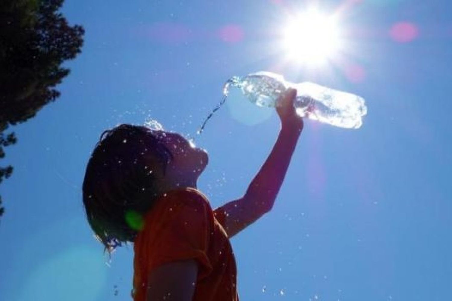 Especialistas alertan que el próximo verano será "el más caluroso en la historia"