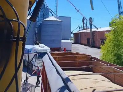 La calidad del trigo es uno de los temas abordados por el Inta en esta campaña.