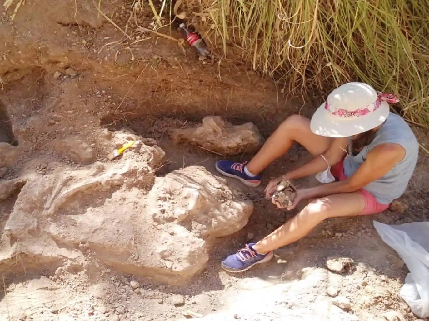 El Museo Serrano participa del Congreso de la Asociación Paleontológica Argentina