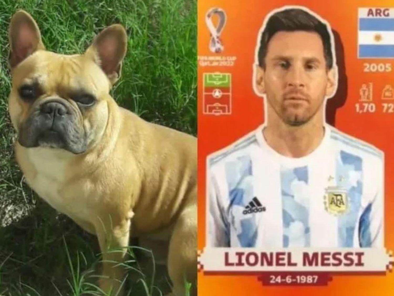 Un nene ofreció la figurita de Lionel Messi como recompensa para recuperar a un perro robado