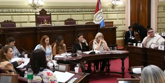 Cinco nuevos mensajes del Poder Ejecutivo a Legislatura antes del cierre de las Ordinarias