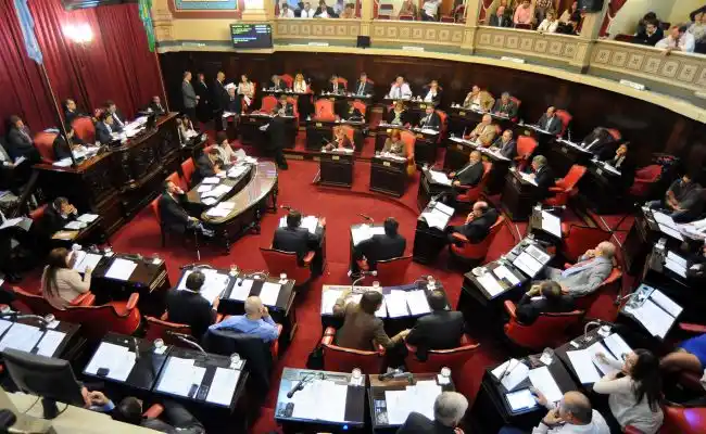 Policía Comunal: El Senado insistirá otra vez con el tratamiento del proyecto
