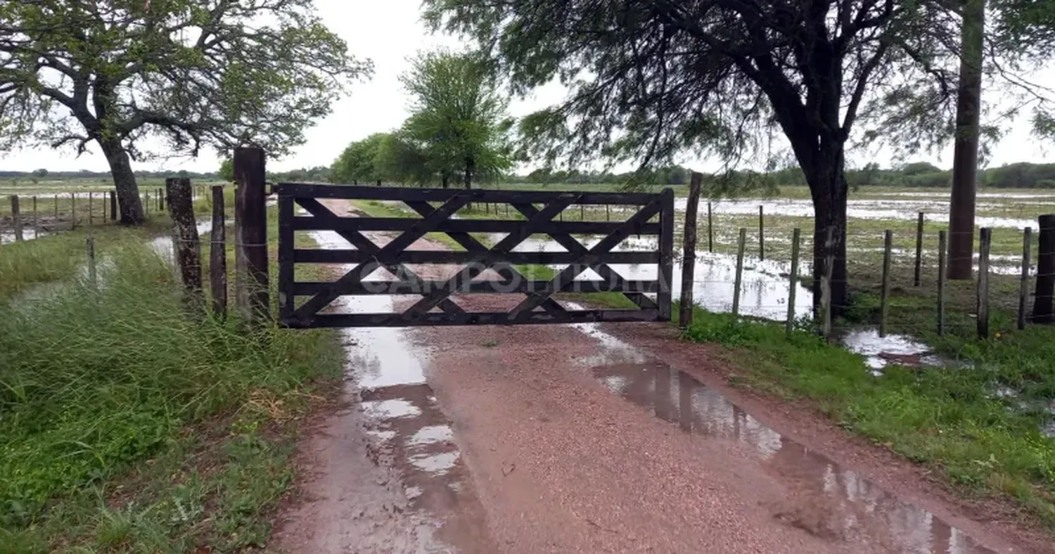 Los productores destacaron que las recientes lluvias son un esperado cambio de tendencia.