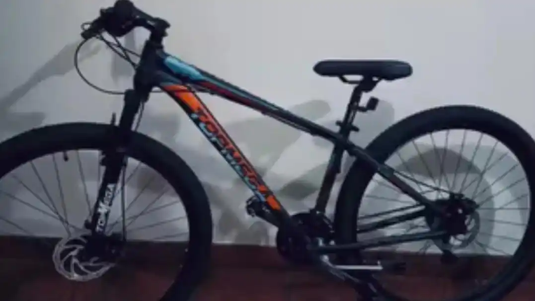 Robaron una bicicleta del complejo  de la calle Alsina y Rondeau