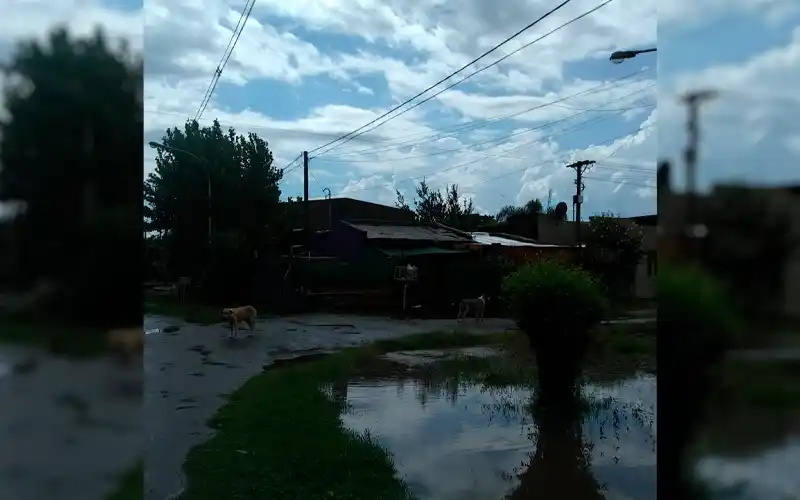 Reclamo: “Pasen por la vereda, si pueden”