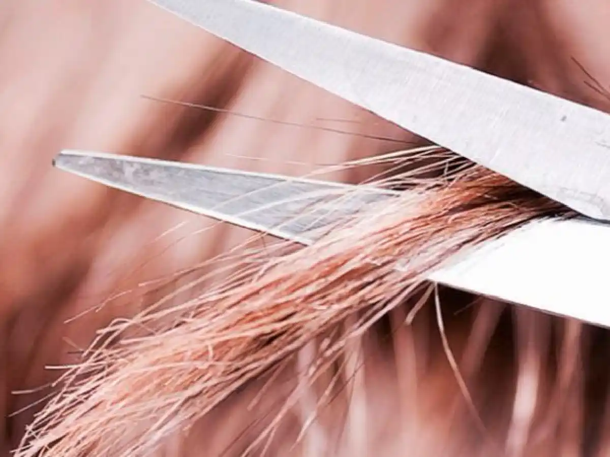 Bulliyng en La Pampa: le cortaron el pelo y se burlaron 