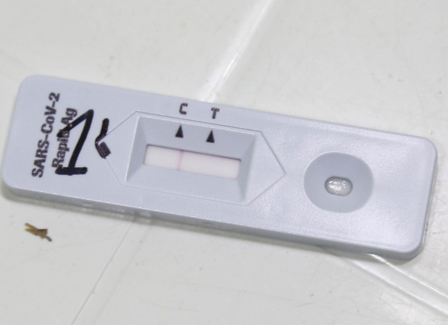 Coronavirus: 7 positivos, 73 activos y el fallecimiento de un hombre de 93 años en el último parte