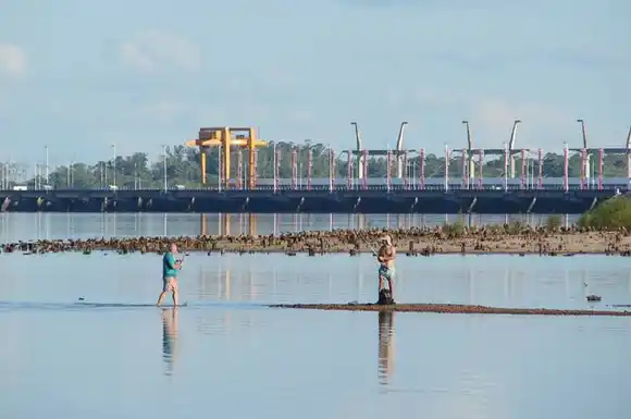 Reserva casi plena de alojamientos en la provincia