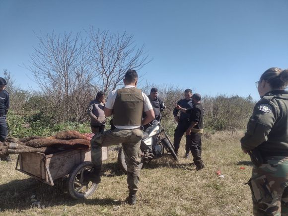 Santa Lucía: atrapados cuando intentaban llevarse carne de un establecimiento ganadero