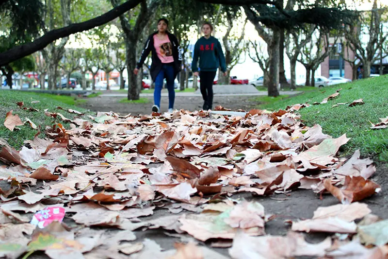 Temperaturas más altas que lo habitual