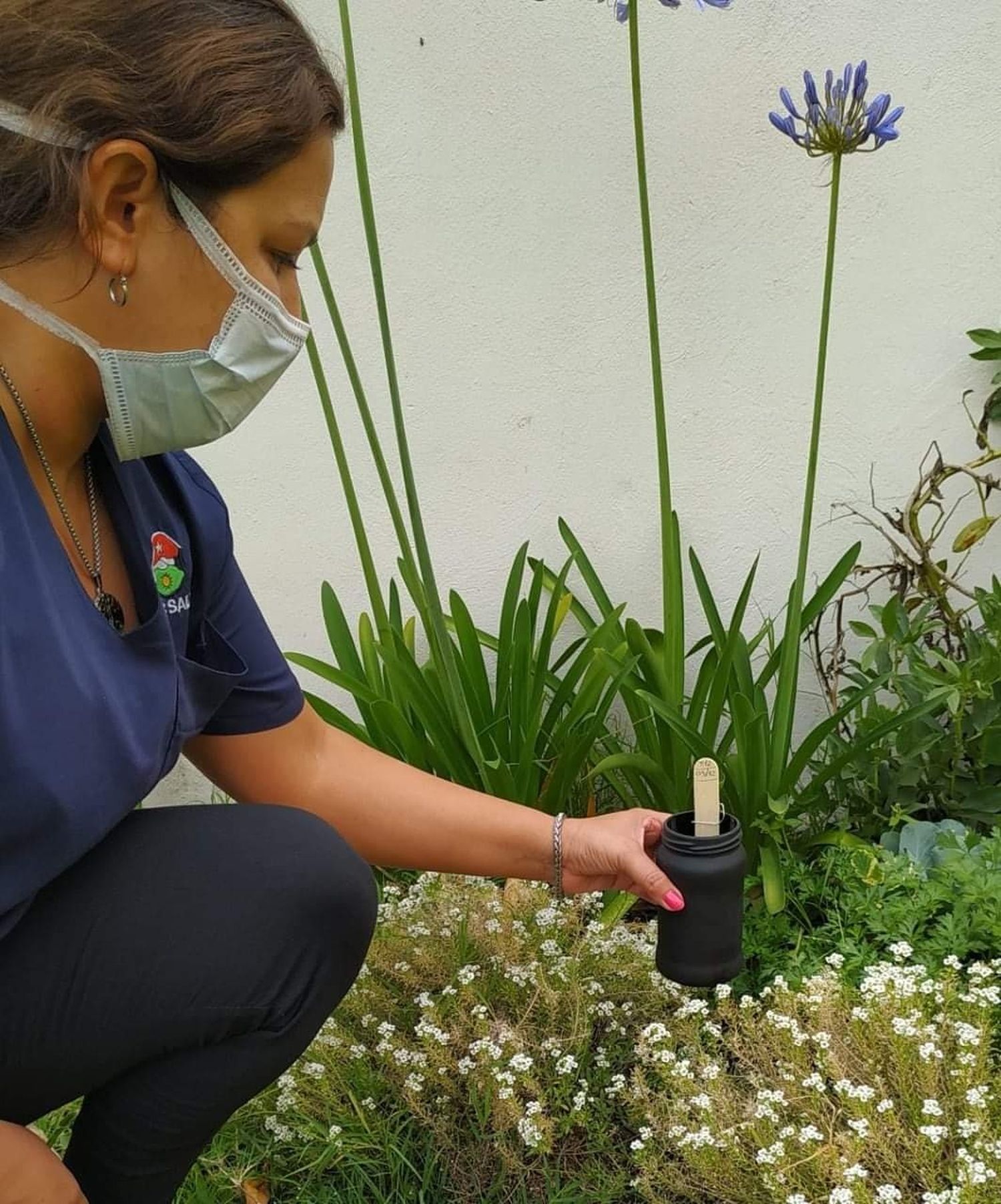 Calor, verano y (una vez más) dengue: Por primera vez se colocarán ovitrampas