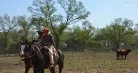 Trabajadores rurales recibirán un bono de fin de año de 2.000 pesos