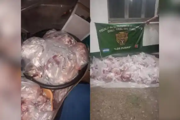 Faenamiento sin autorización: secuestraron carne transportada sin documentación