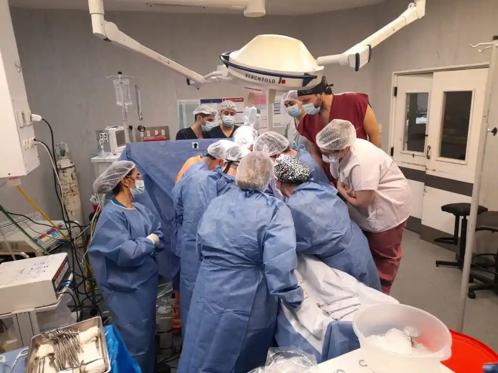 Se realizaron 675 trasplantes en toda la Provincia durante el 2023