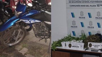 Allanamiento por robo: detuvieron a uno de los implicados y secuestraron plantas de marihuana