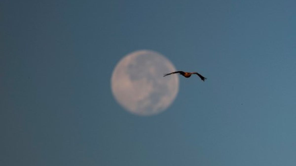 LUNA DE HIELO O LUNA FRÍA: así se vio en Venezuela (+Fotos)