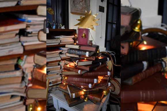 Árbol navideño para lectores sampedrinos