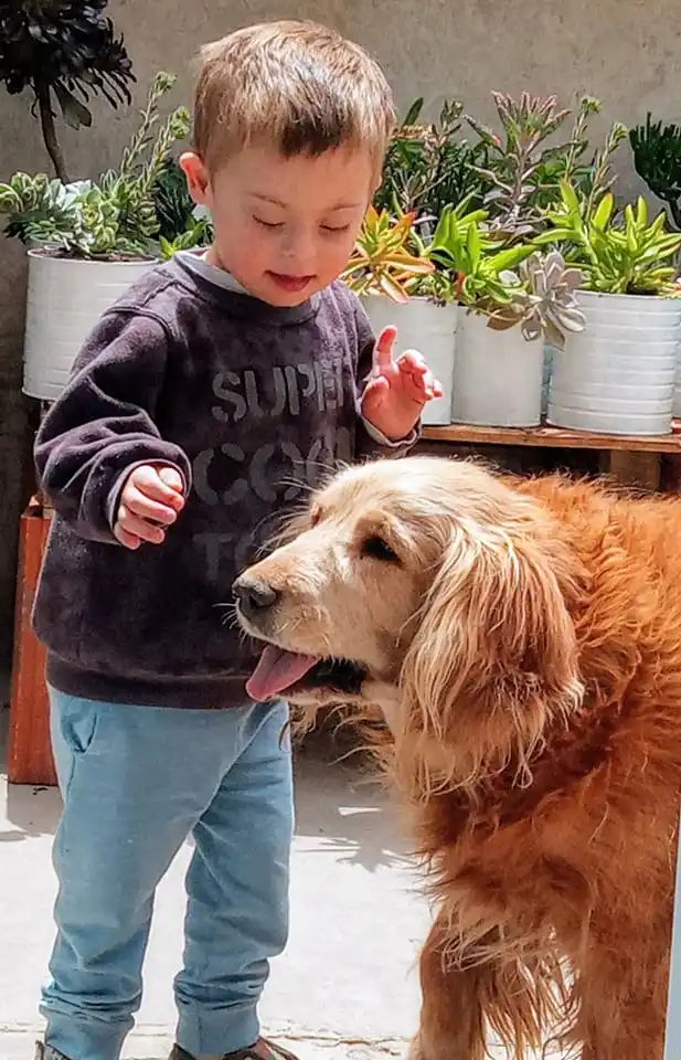 El Jardín de Theo: Un emprendimiento familiar que merece nuestra ayuda