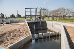 La cuarentena no frenó la donación ni los trasplantes de órganos