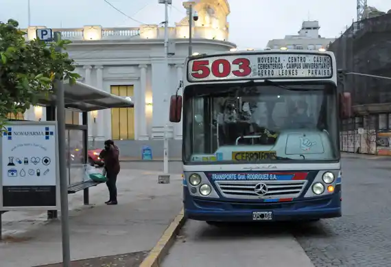 Transporte público: la línea 503, nuevamente con cambio de recorrido