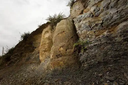 El descubrimiento retrata formas de vida de hace 290 millones de años. 