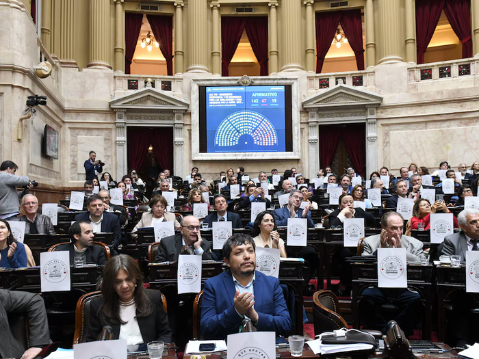 Diputados aprobó la ley de emergencia en discapacidad