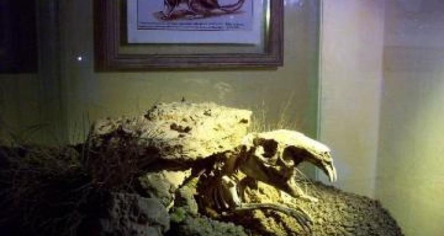 Nuevo hallazgo del Museo