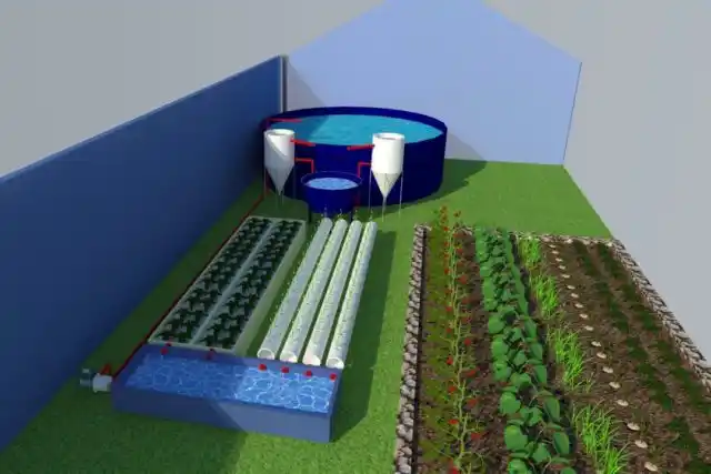 Proyecto de Acuaponía en la escuela de Costa Bonita