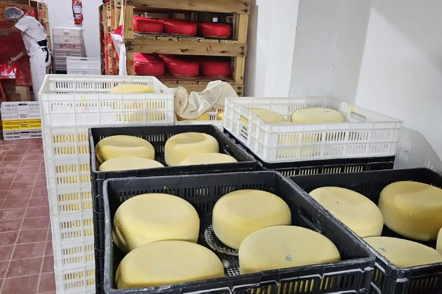 Pymes lácteas entrerrianas podrán participar del primer Concurso Nacional de Quesos, Manteca y Dulce de Leche