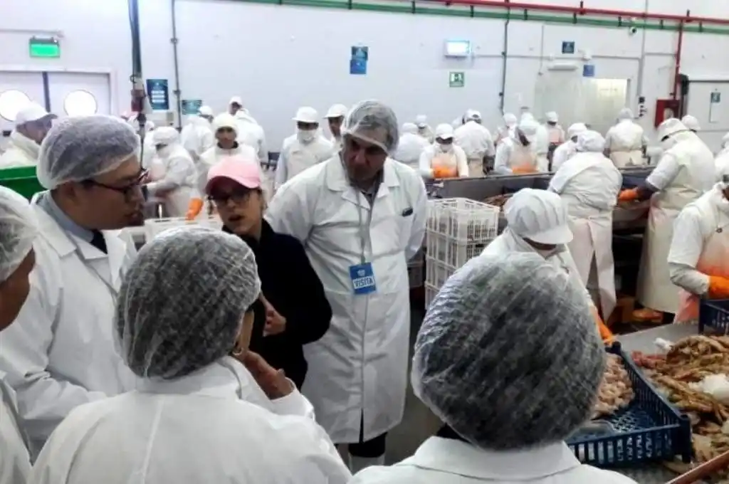 Chubut: utilizaría plantas pesqueras para conservar las vacunas