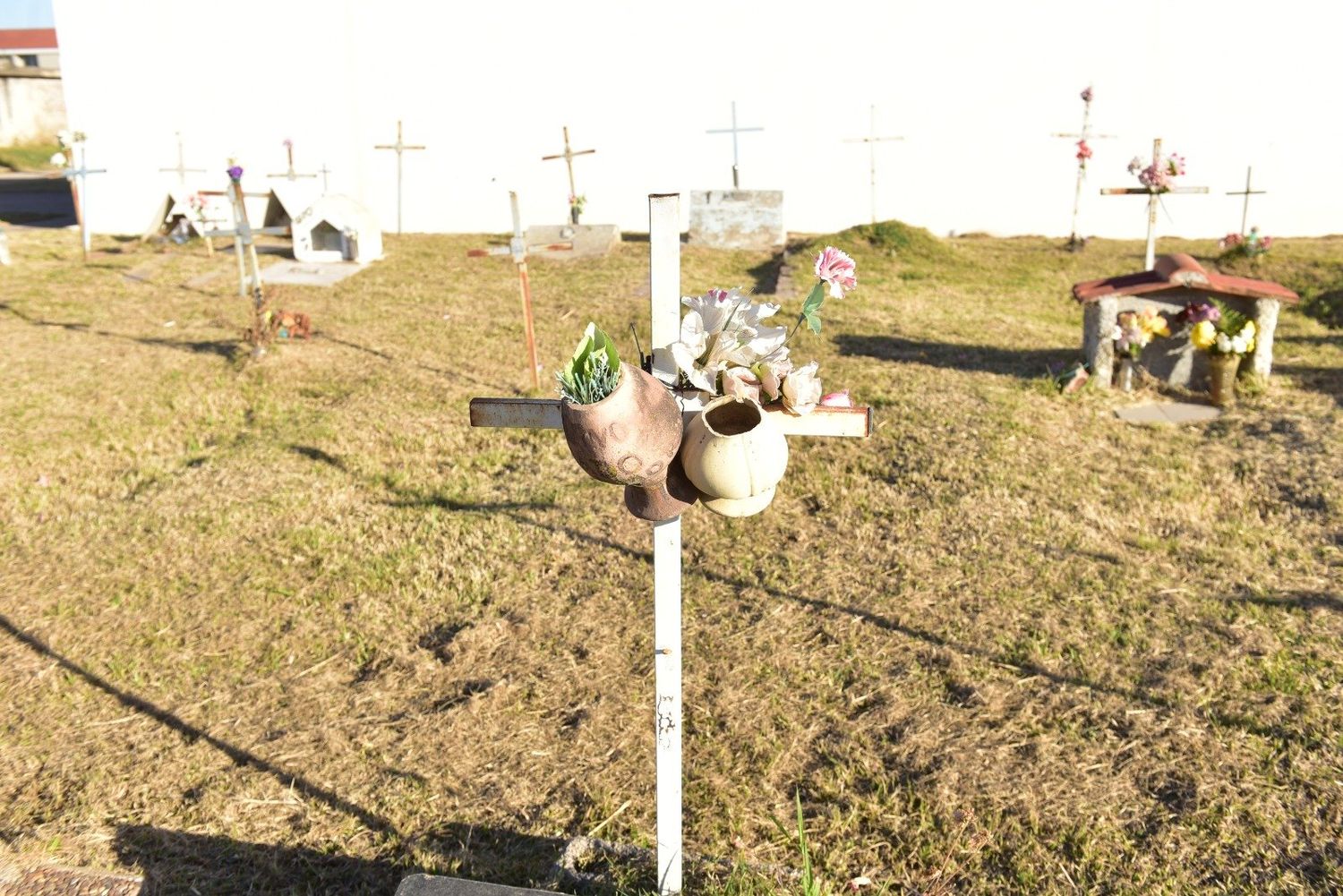 Horror en el cementerio de San Francisco.