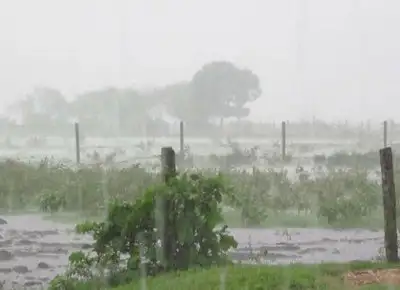 Reporte de lluvias en Gualeguay y su departamento